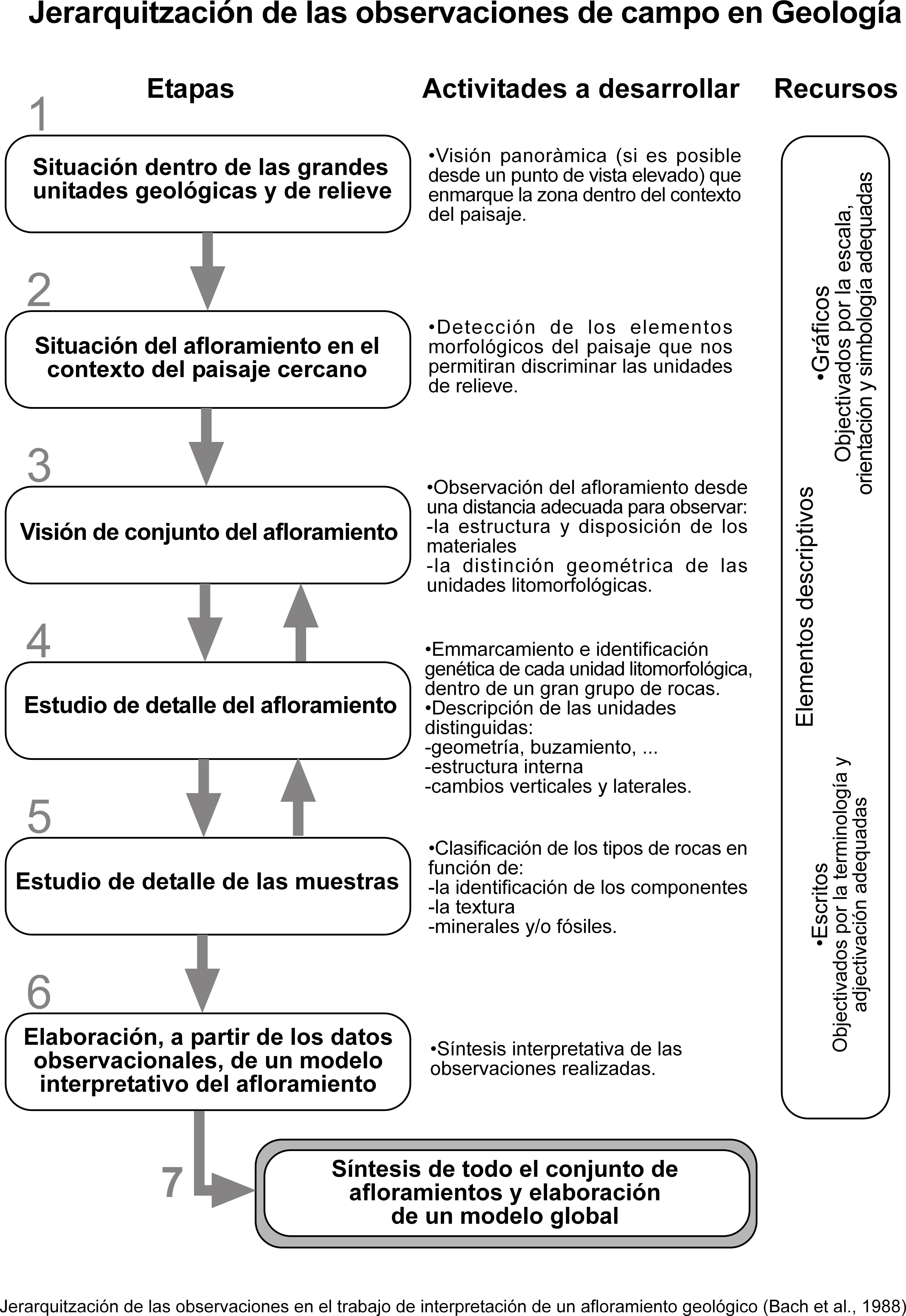 Jerarquització de les observacions de camp en geologia