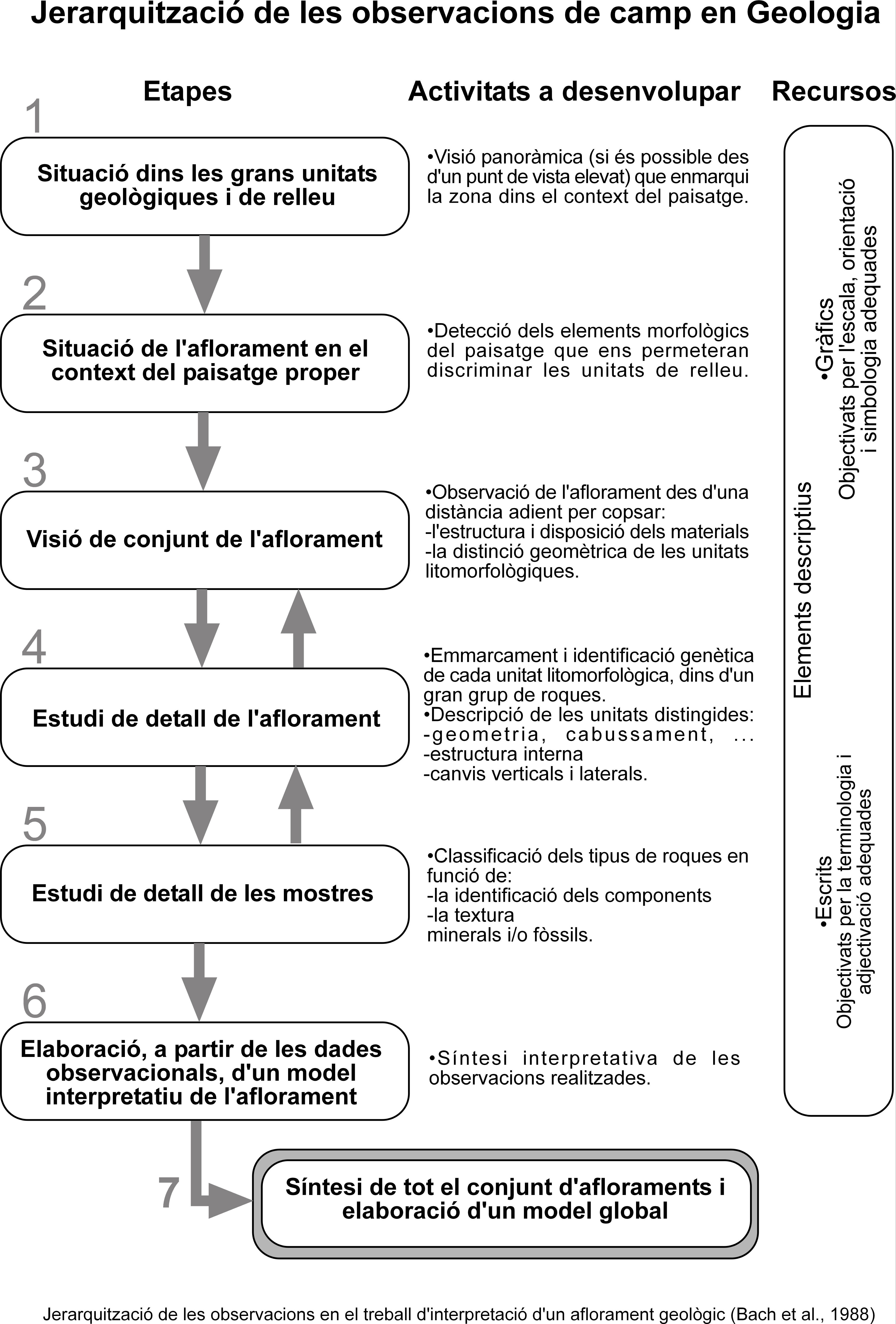 Jerarquització de les observacions de camp en geologia