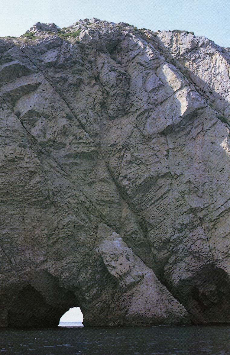 
General view of a mountain or the vegetation of the slopes