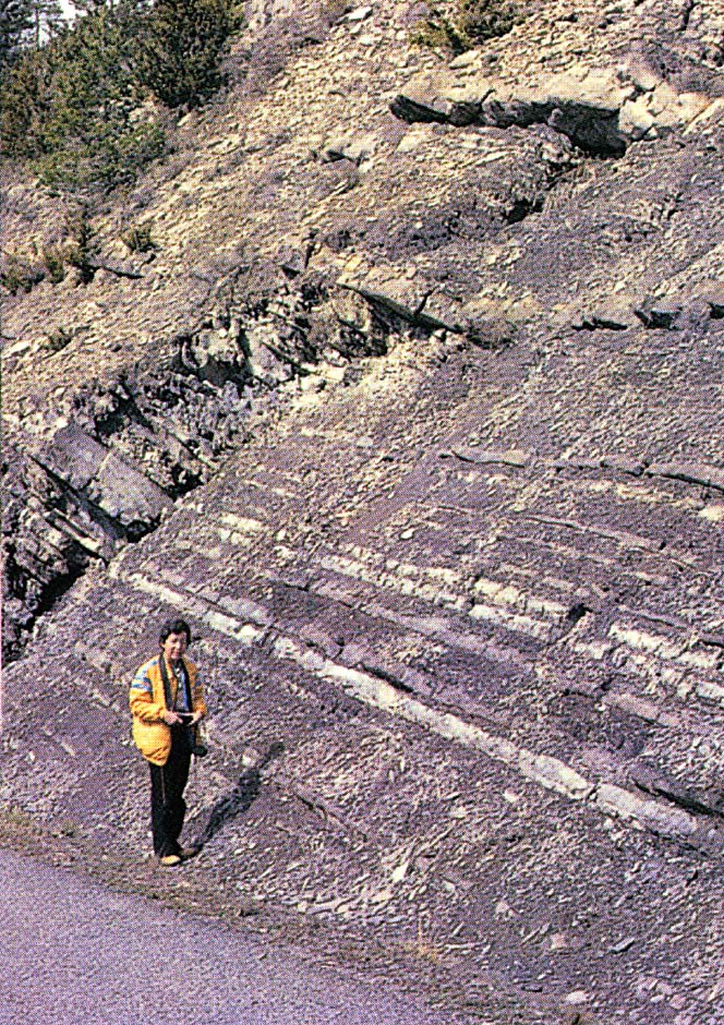 Geologist next to a rock that presents stratifications