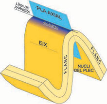 Diagrama mostrant els elements d’un plec: el pla axial, l’eix, els flancs i la xarnera