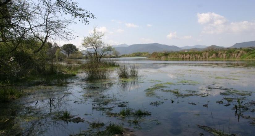 Hidrogeología y dinámica sedimentaria del Sistema lacustre de Banyoles